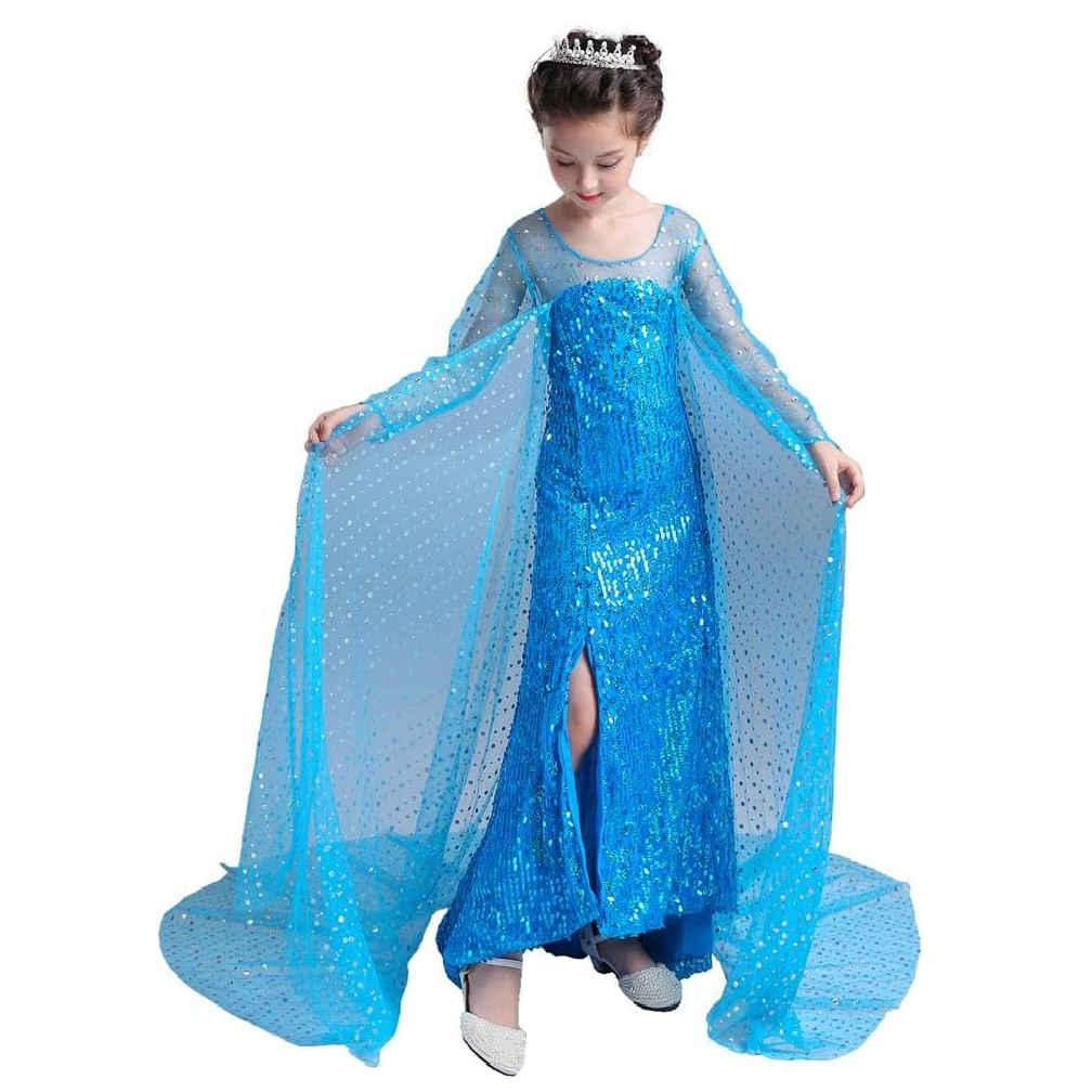 Blue Princess Costume Dress With Cape - Set Of 5 Pieces