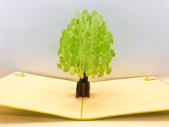 Pop-up Cards