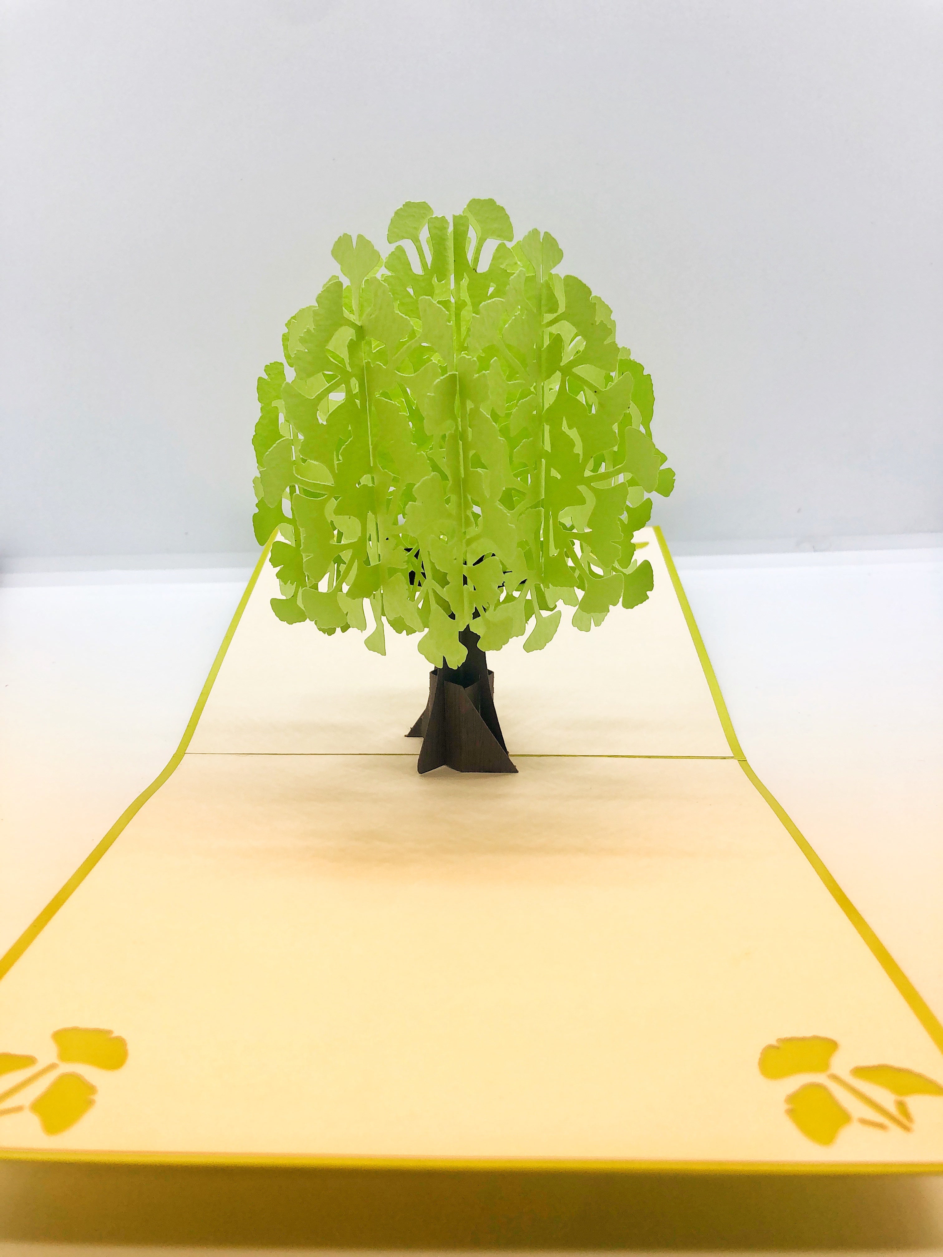 Pop-up Card _ Ginkgo Biloba
