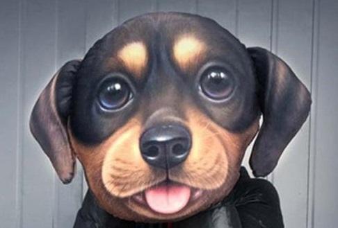 3D Dog Pillow Pillow